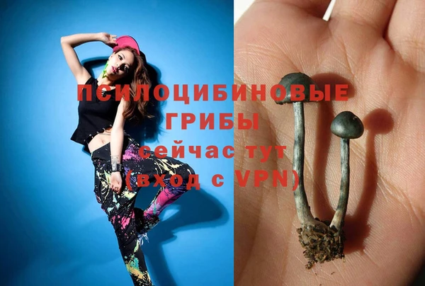 мдма Ладушкин